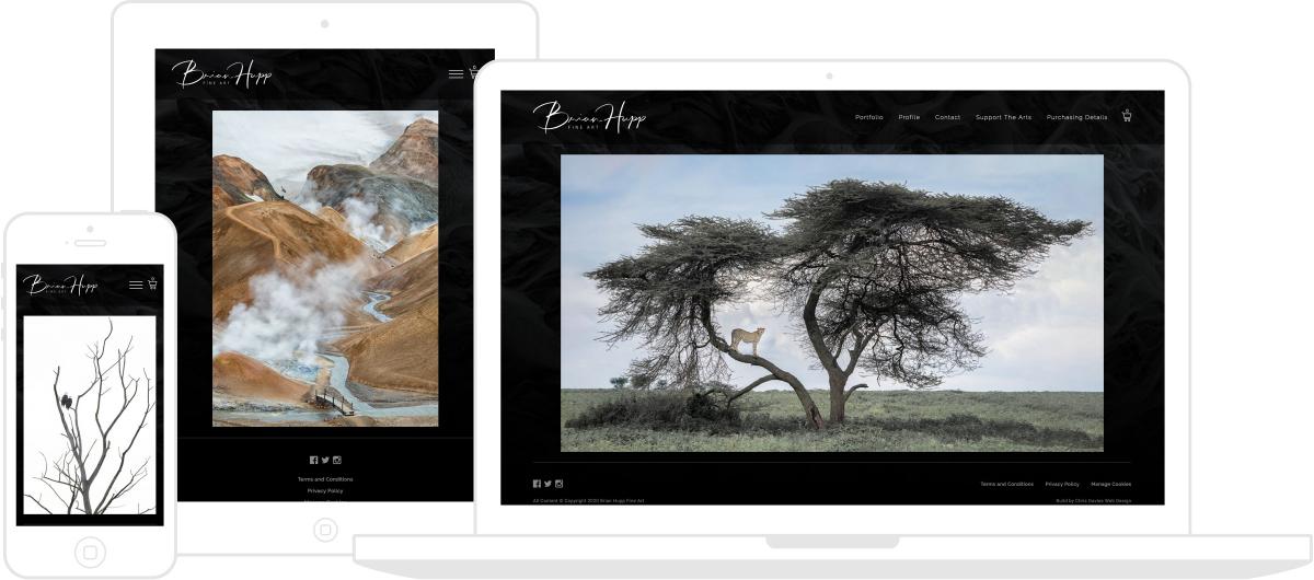 Brian Hupp Fine Art Website by Chris Davies Web Design