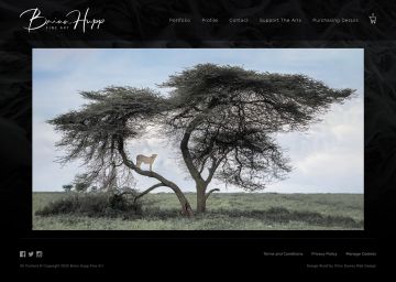 Website design project for Brian Hupp Fine Art Website design project for Brian Hupp Fine Art