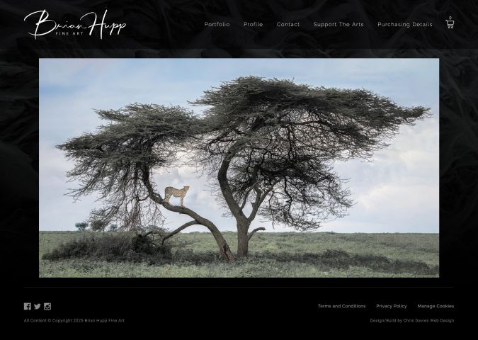 Website design project for Brian Hupp Fine Art